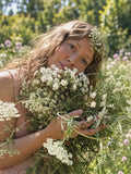 Ammi 'Queen of Africa', False Queen Anne's Lace, Ammi majus, bishop's flower, annuelle, 50 graines
