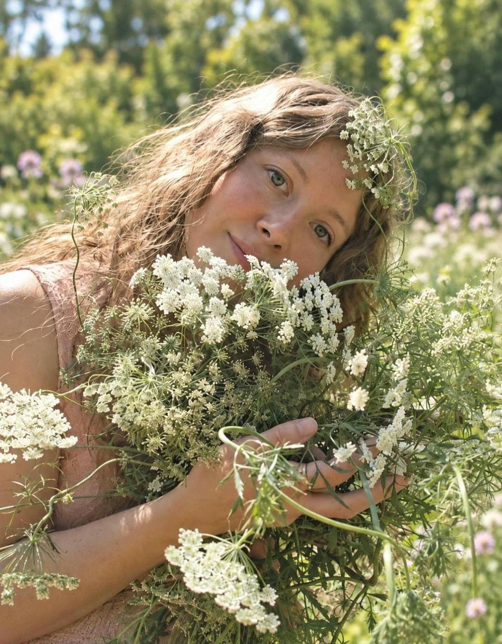 Ammi 'Queen of Africa', False Queen Anne's Lace, Ammi majus, bishop's flower, annuelle, 50 graines